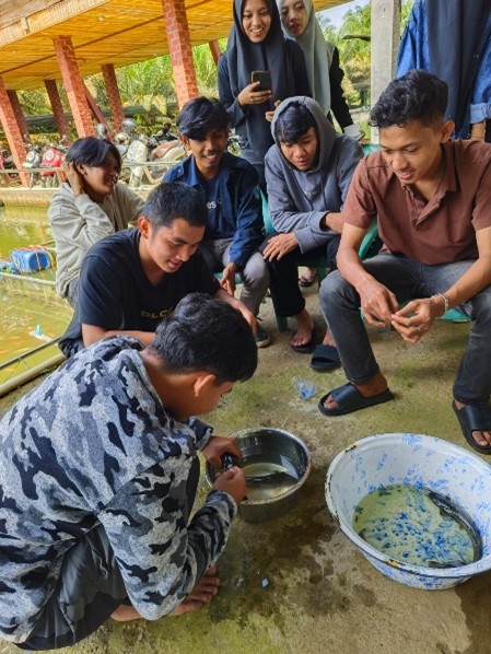 Tingkatkan Skill Mahasiswa, Himpunan Mahasiswa Perikanan (Himaper) Unbari Gelar Pelatihan Tekinik Pembenihan Ikan Air Tawar